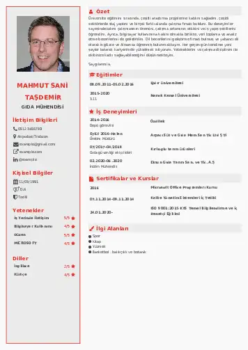 Gıda Mühendisi CV Örnekleri cv indir